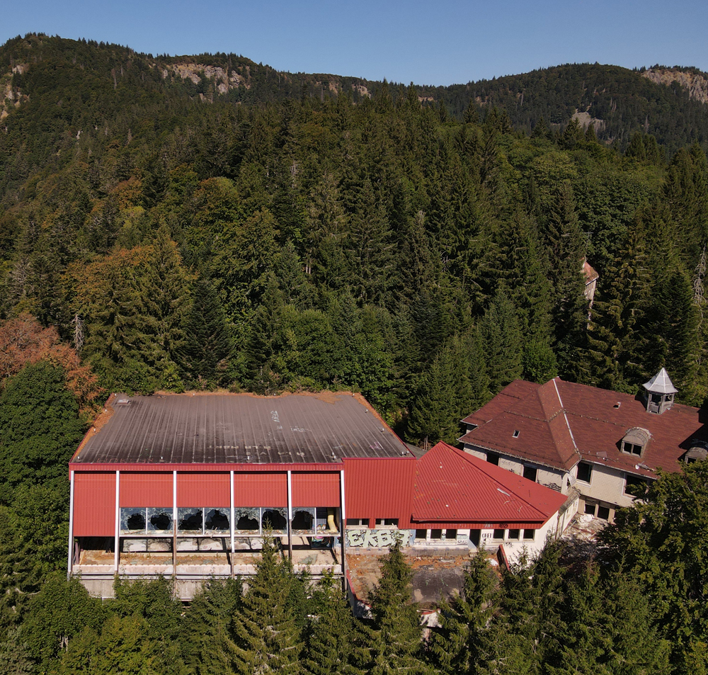 Le Sanatorium de la Forêt Blanche