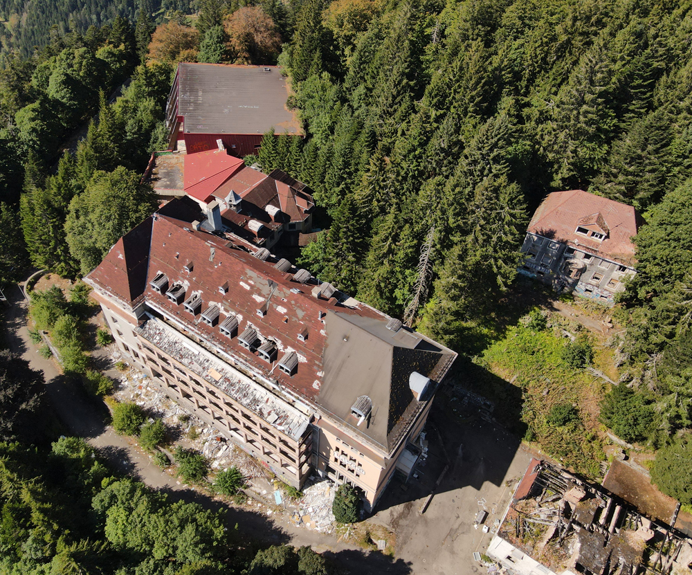 Le Sanatorium de la Forêt Blanche