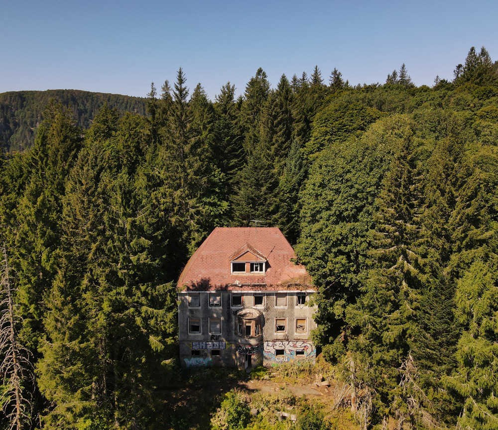 Le Sanatorium de la Forêt Blanche