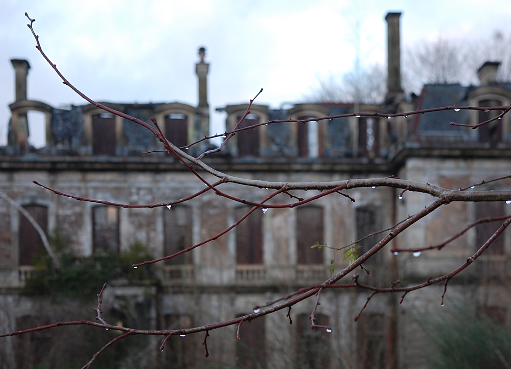 Photo du Château des Quatre Saisons