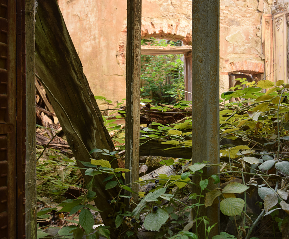 Photo du Château des Quatre Saisons