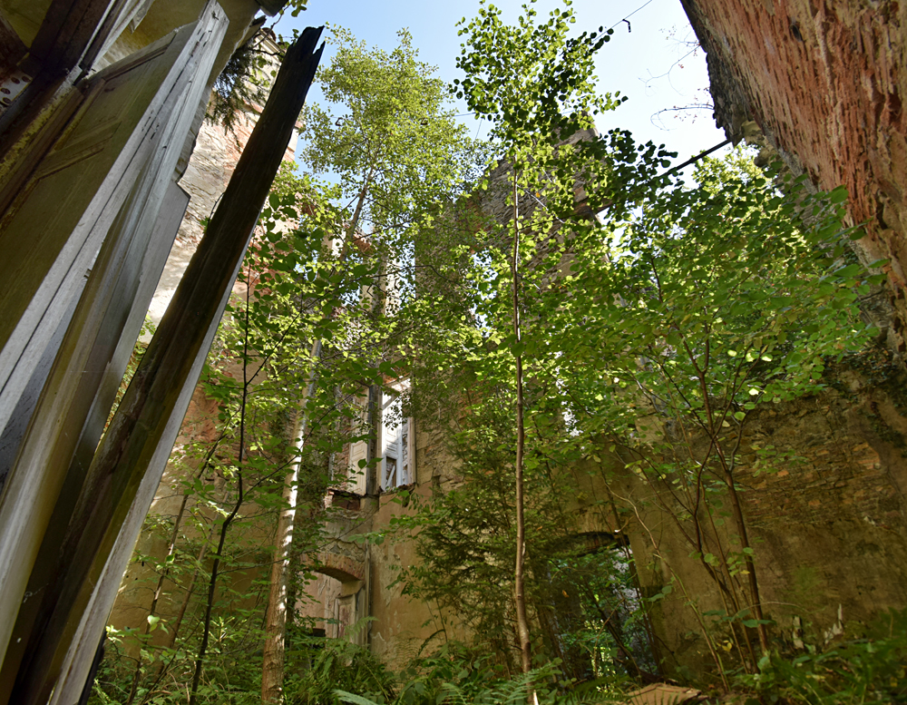 Photo du Château des Quatre Saisons