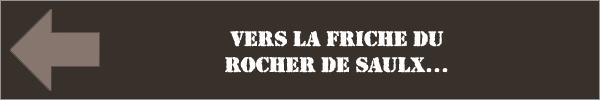 Visiter le lieu associé